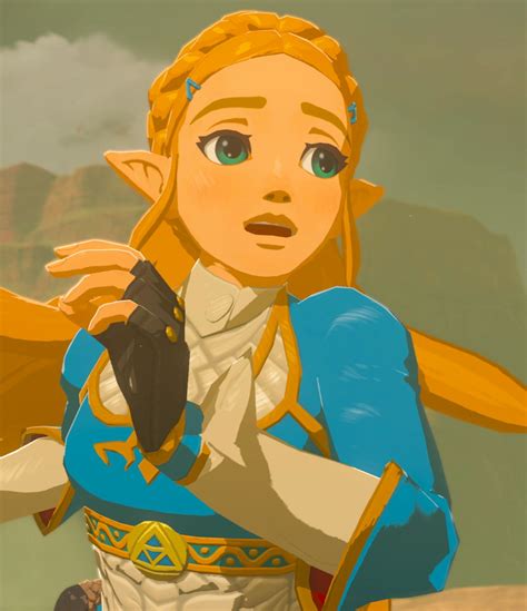 zelda breath of the wild